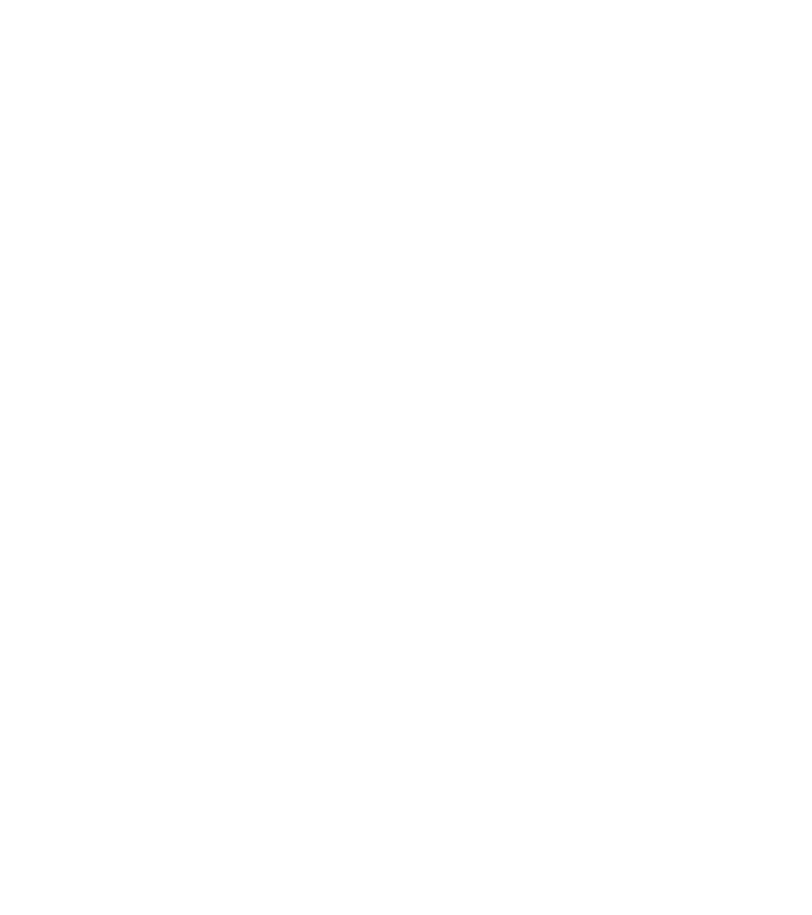 Fleet Manager logo
